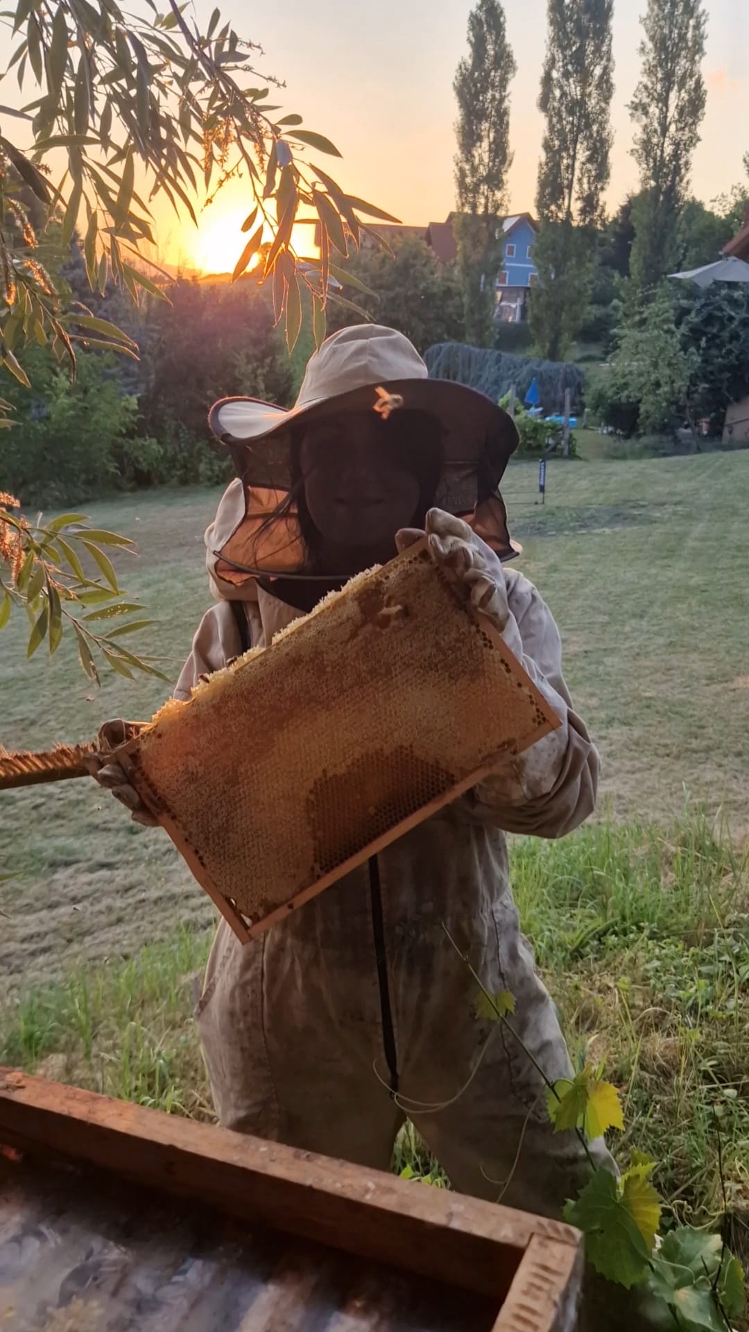Mehr als Honig