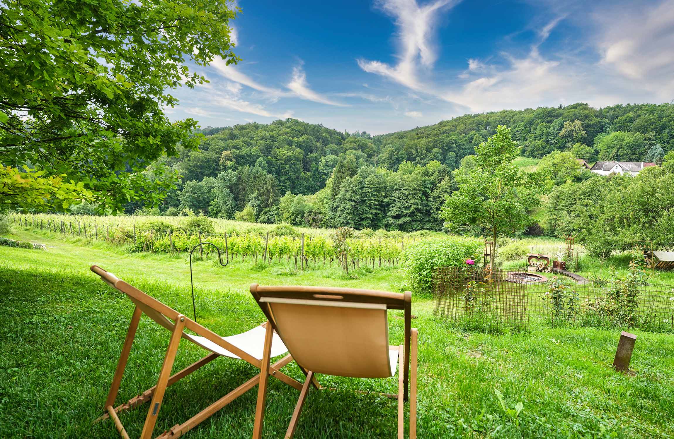 Weinberge und Landschaft rund um Seggauberg in der Südsteiermark
