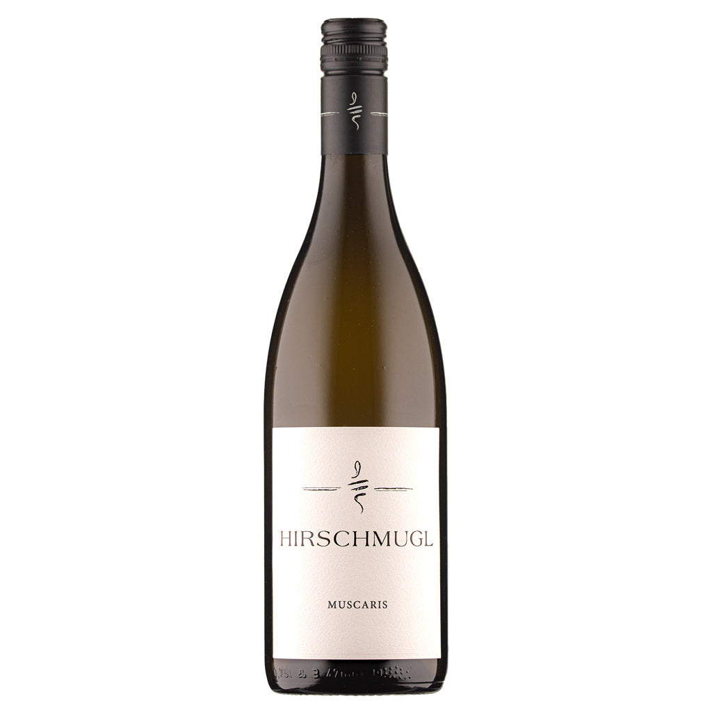 2025 Muscaris – Weingut Hirschmugl Südsteiermark