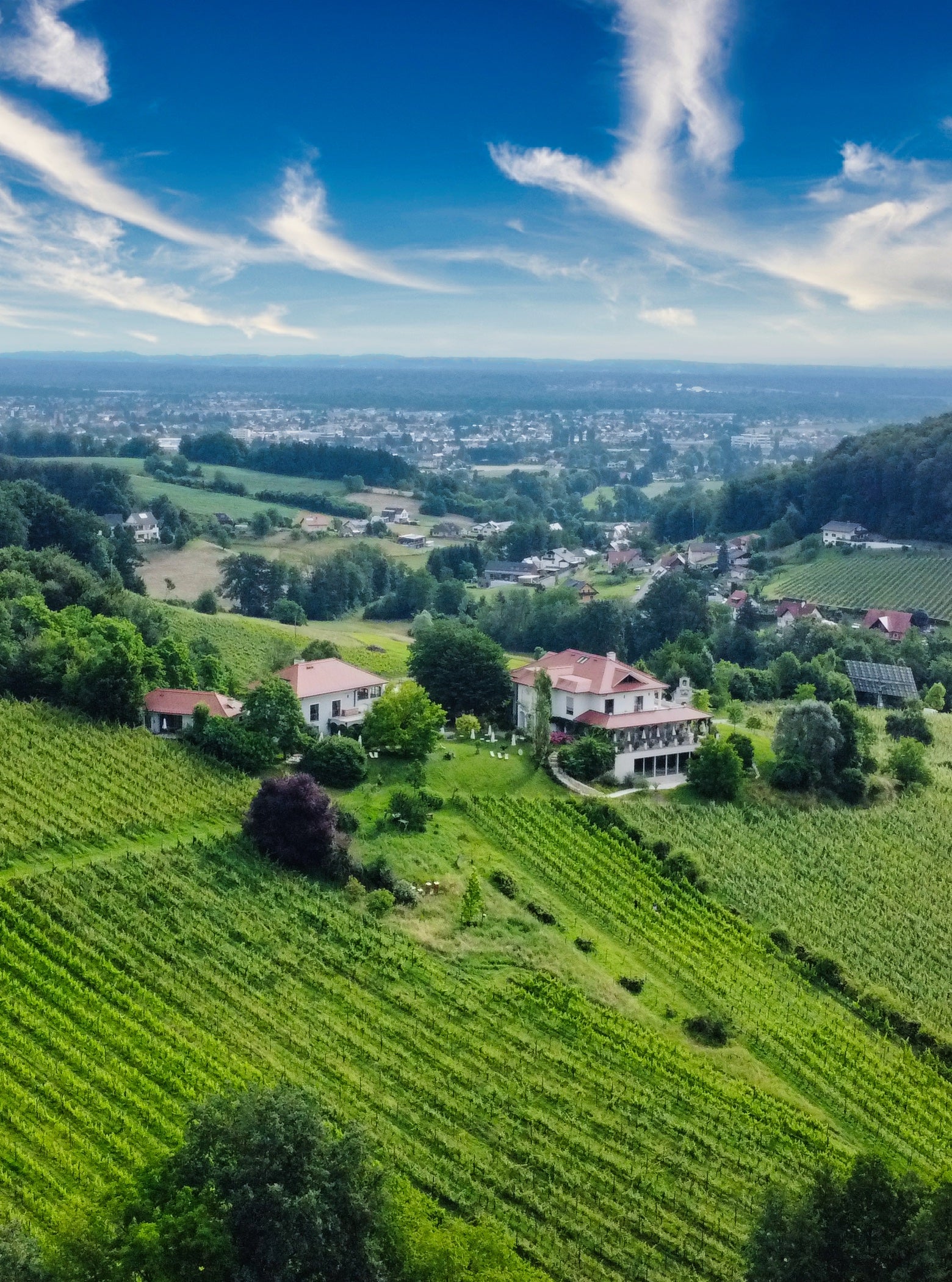 Rund ums Weingut - Plöckelberg