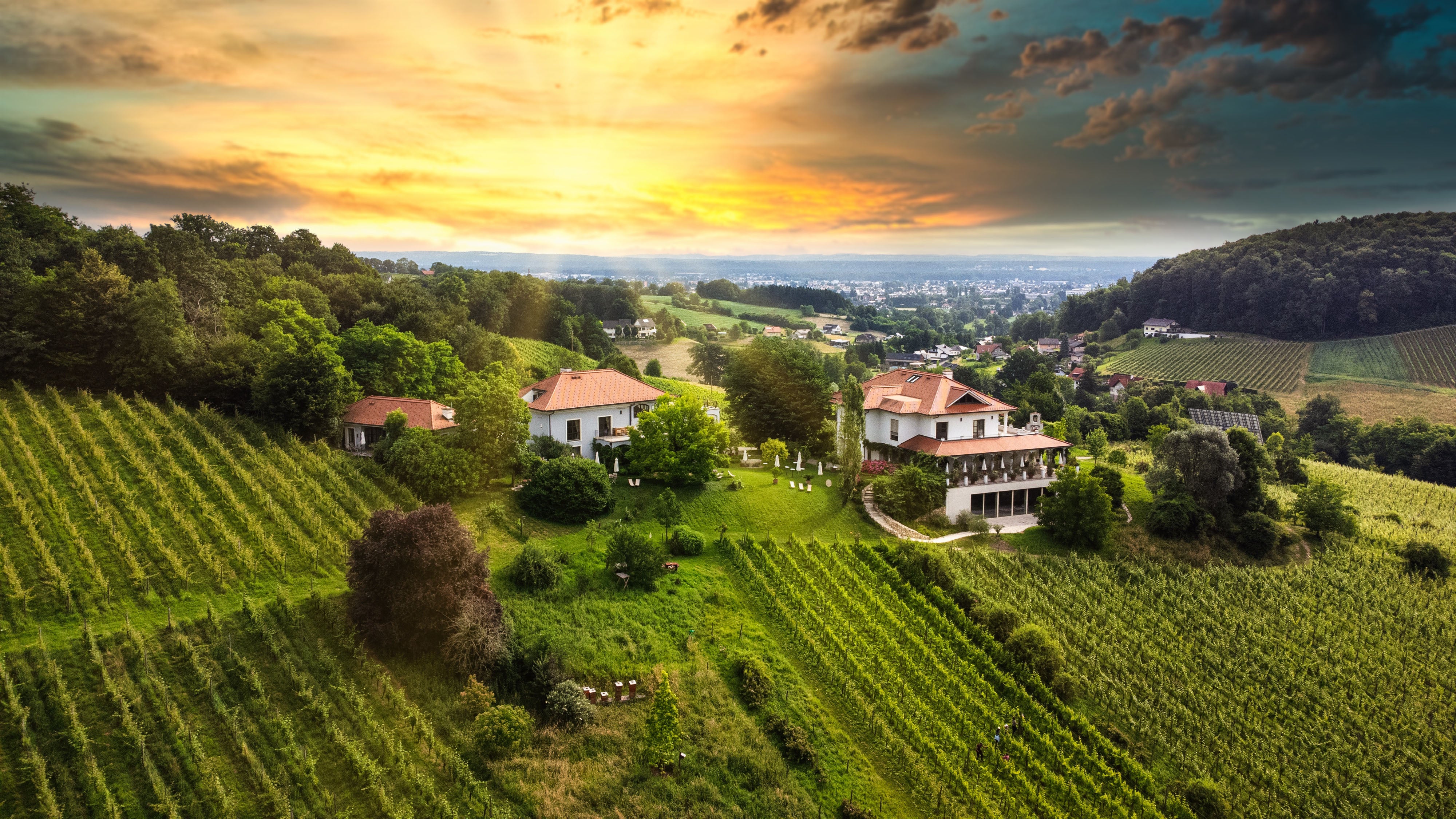 Südsteirische Weinlandschaft bei den Appartements des Weinguts Hirschmugl