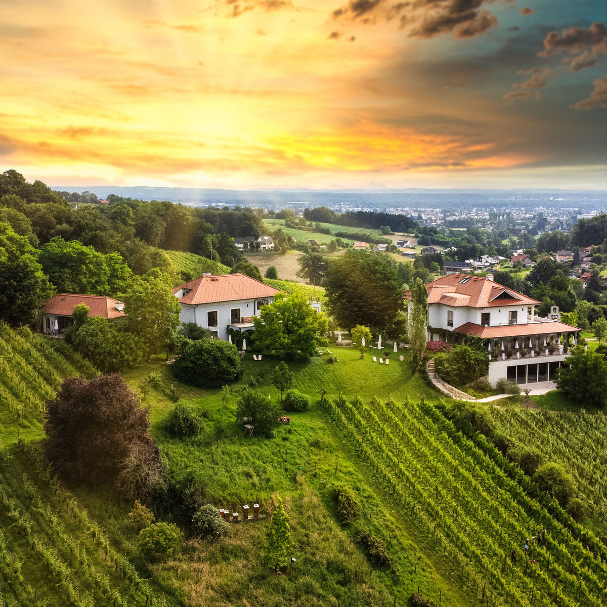Weingut Hirschmugl am Seggauberg in der Südsteiermark – Weinverkostung