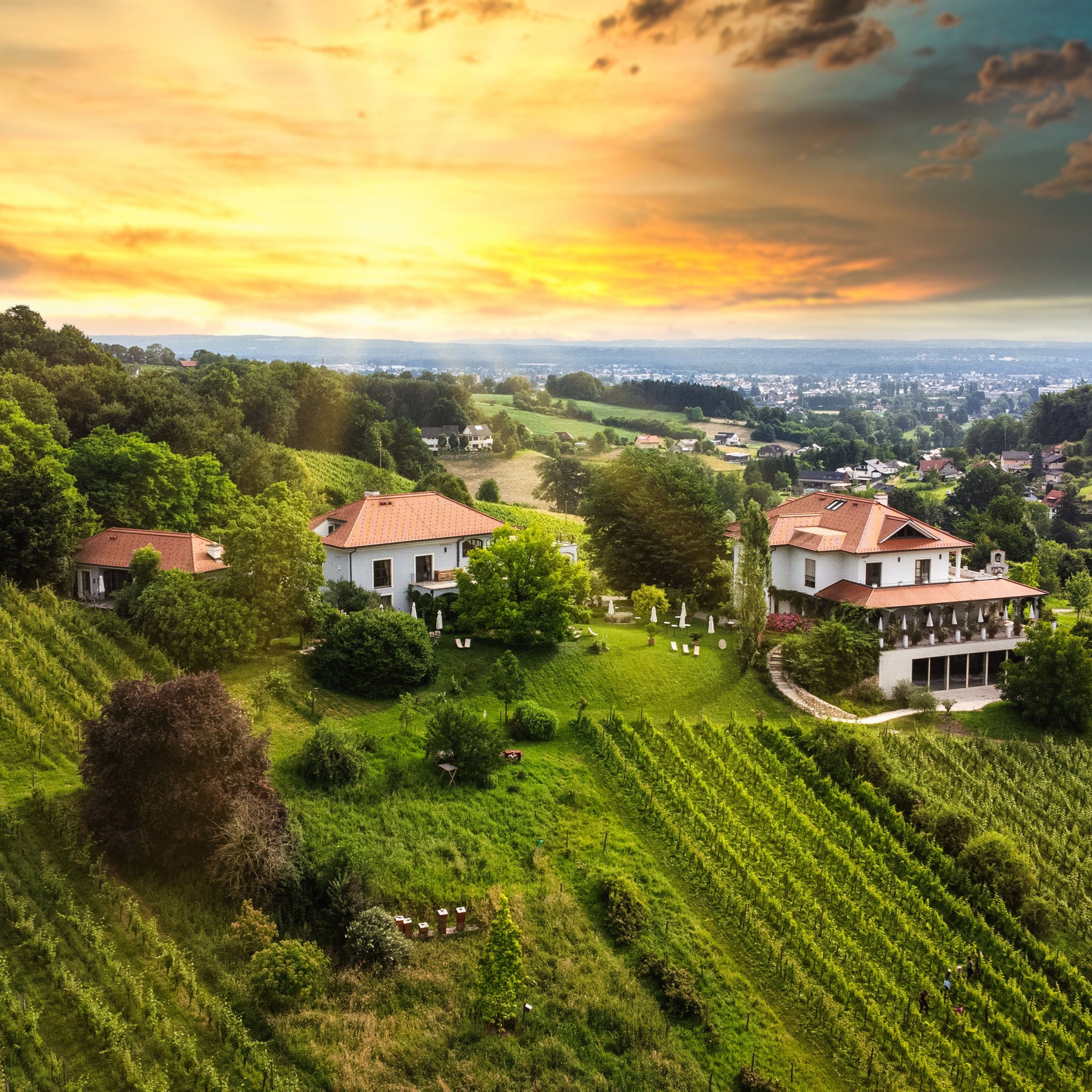 Weingut Hirschmugl am Seggauberg in der Südsteiermark – Weinverkostung
